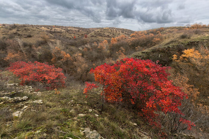 Ярко и хмуро