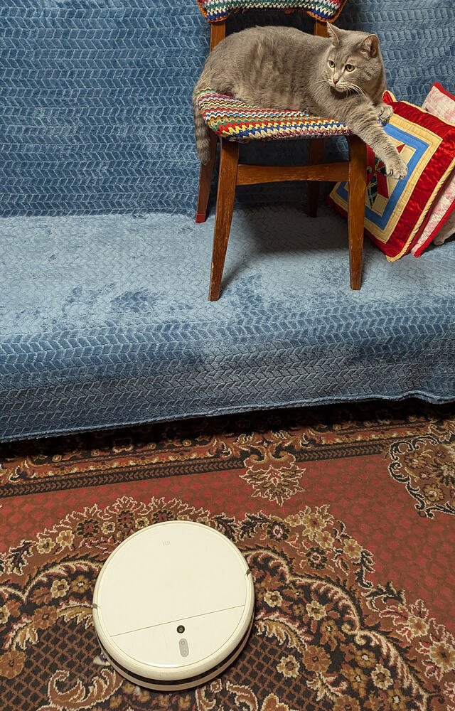 Я не страшусь пылесоса,так задумано!