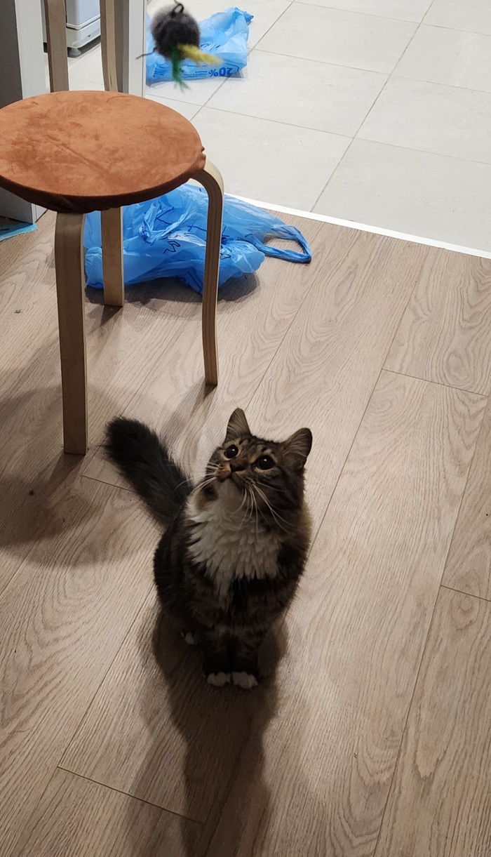 Ежедневный Рислинг #104