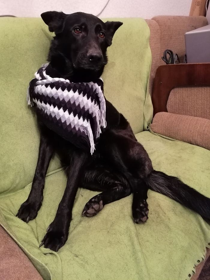 ����� �� ���� ������� ������ �������!�