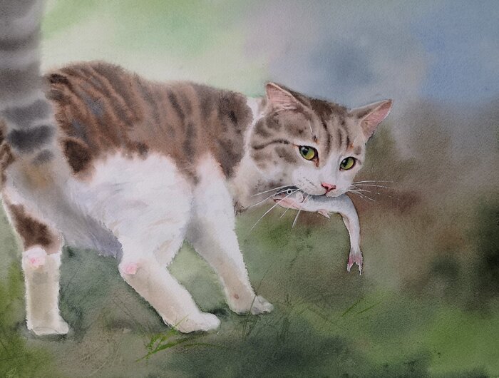 По фото, найденном в интернете, но там кот поймал птичку - а птичку жалко!