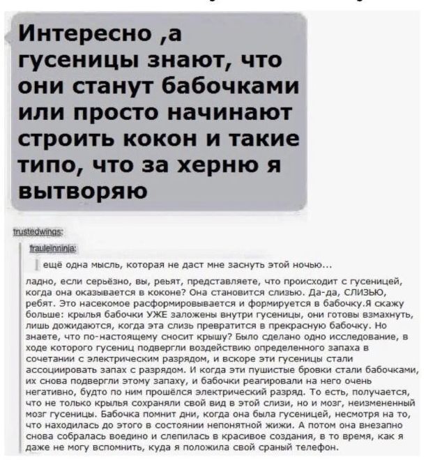 Про бабочек