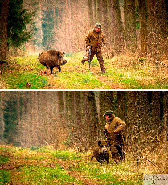  : <!--noindex--><a href="https://pikabu.ru/story/grustnaya_istoriya_13377326?u=https%3A%2F%2Fportyere.ru%2F%3FSlovarmz_terminov%253AYumor%253AArhiv-Shutki-yumora%3D&t=https%3A%2F%2Fportyere.ru%2F%3FSlovarmz_terminov%253AYumor%253AArhiv-Shutk...&h=cb5b98400679f81307fc16a6939ea70b040dfbfe" title="https://portyere.ru/?Slovarmz_terminov%3AYumor%3AArhiv-Shutki-yumora=" target="_blank" rel="nofollow noopener">https://portyere.ru/?Slovarmz_terminov%3AYumor%3AArhiv-Shutk...</a><!--/noindex-->