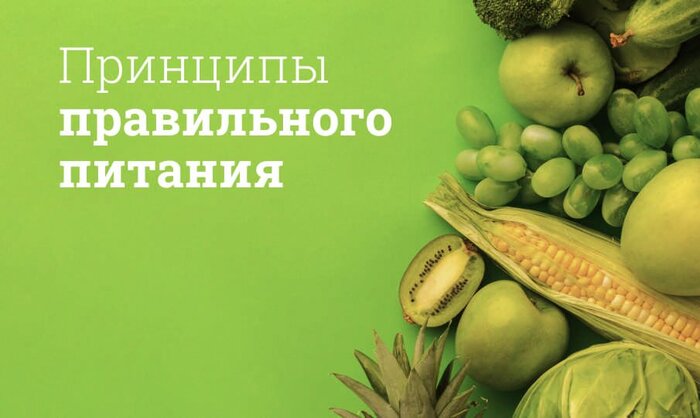 С чего начать правильное питание для похудения: индивидуальный план, кето и реальные результаты