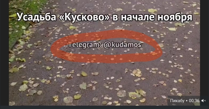 ��� ����� ��������� "��"t?