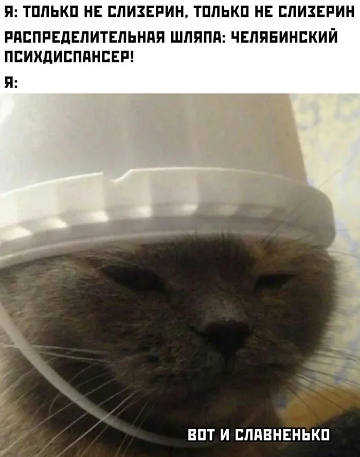 Мемы по Гарри Поттеру - Юмор, Картинка с текстом, Гарри Поттер, Длиннопост