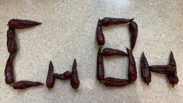   - Chocolate Bhutlah!