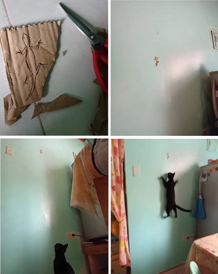 Как занять кота на полчаса