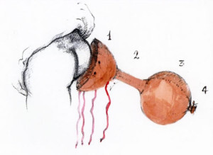 La vanvera da passeggio