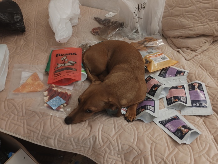 ����� �� ���� ������� ������ �������!�