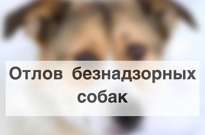 � ��������� ������� ������ �� ������������� � ����� ������������ �����