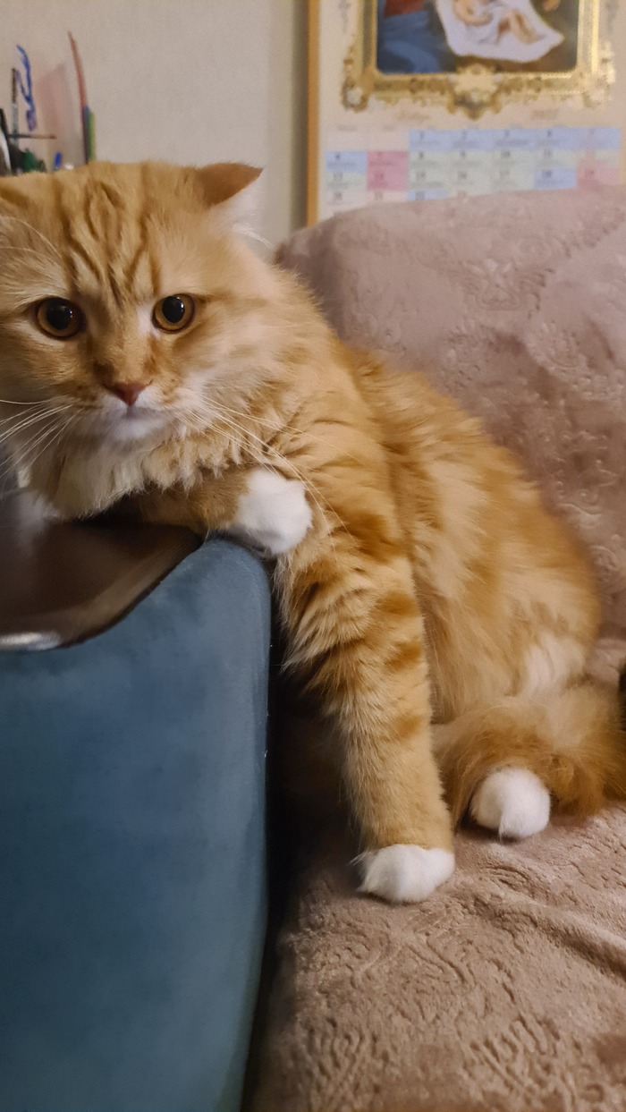 ����� �� ���� ������� ������ �������!�