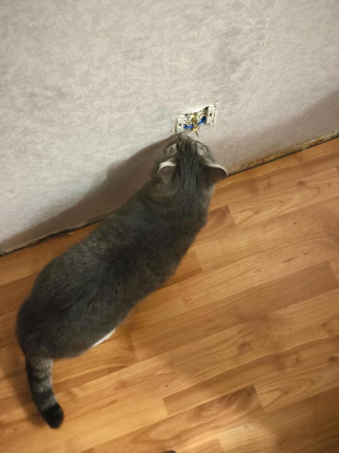 Электричество в комнате отключено на всякий случай.