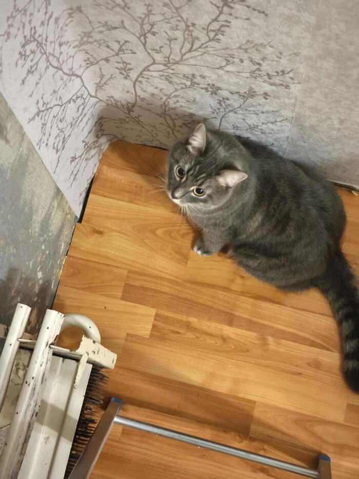 Мааать! Обоина криво поклеена. Переделывай!