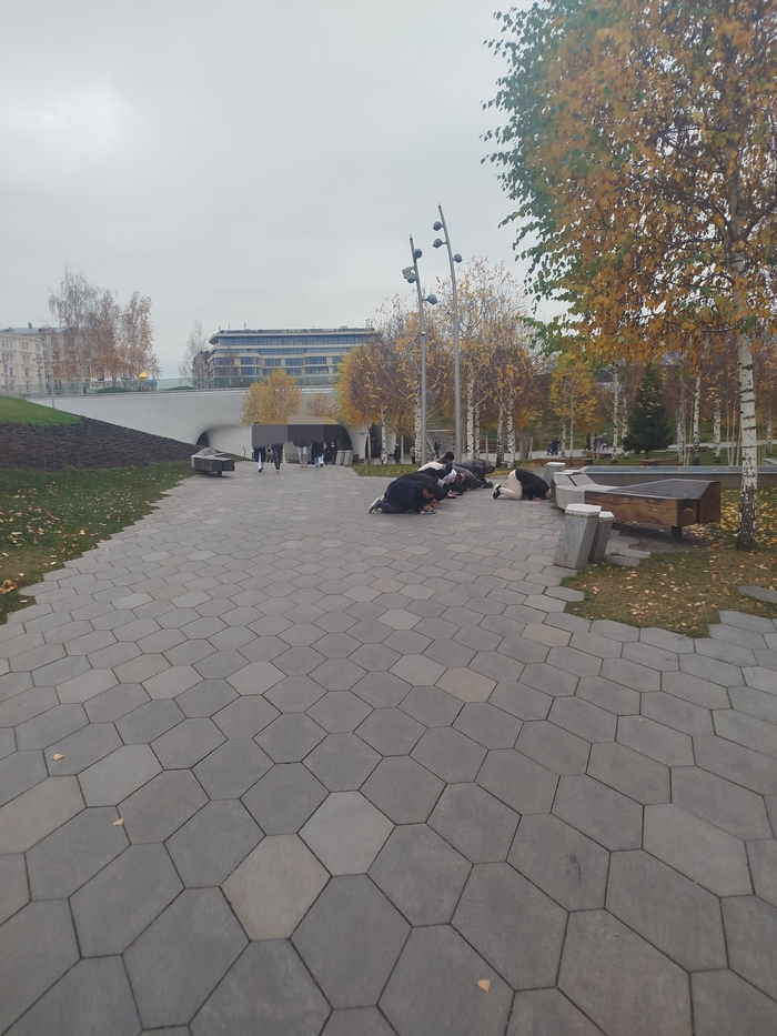 Фото мои. Дата 10.11.25