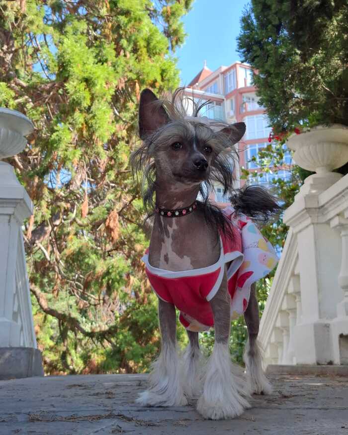 ����� Rico.V � ������� ������ �������!�