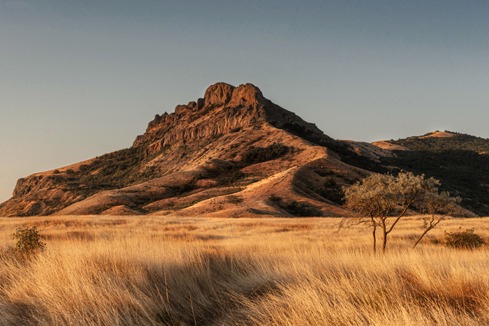 Крымская саванна