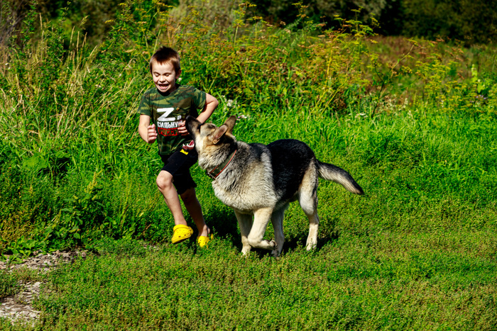 Радости жизни