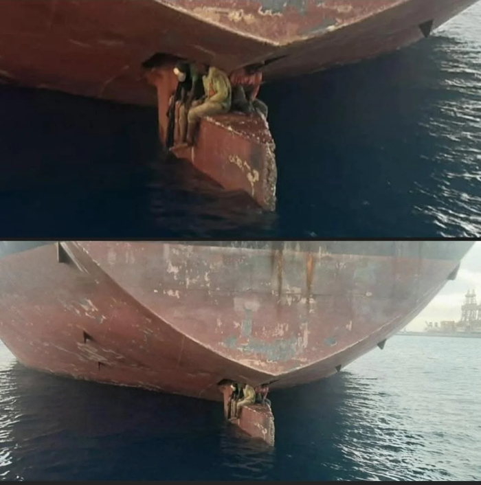      11-      ,    . [11 ,     ]