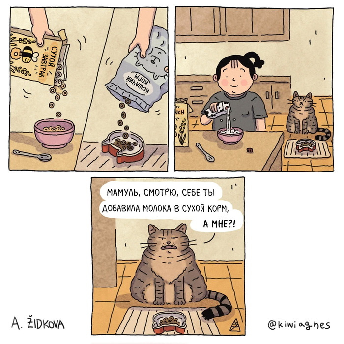 Кот - он тоже человек!