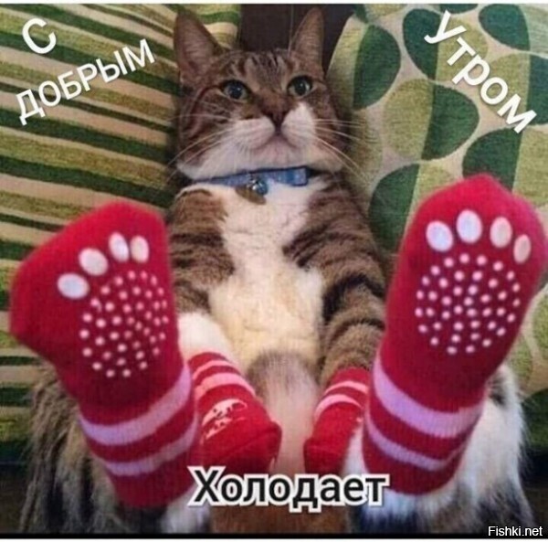 С Добрым Утром!