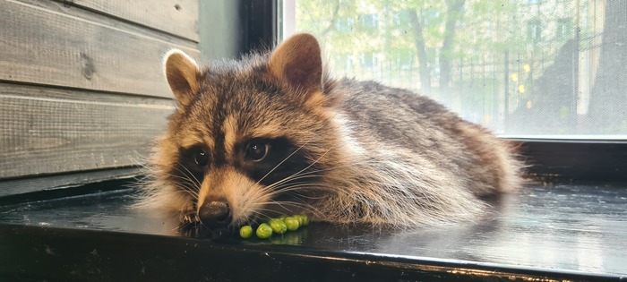 Фото для привлечения внимания