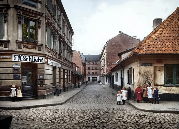 Автор:Oscar Bittrich