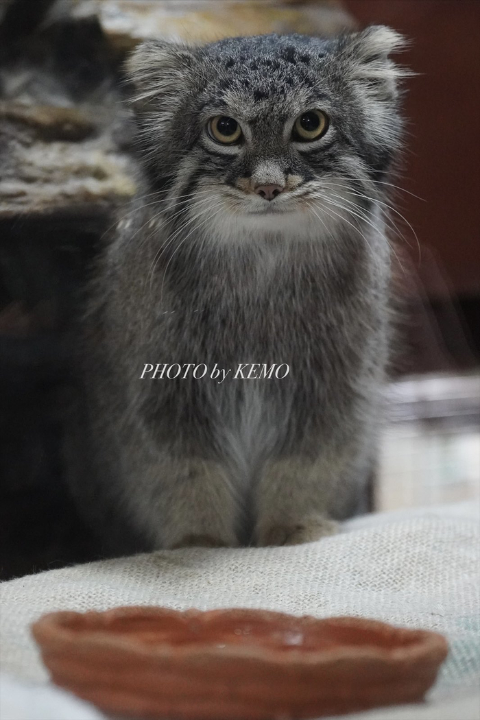 Извините, а когда обед?