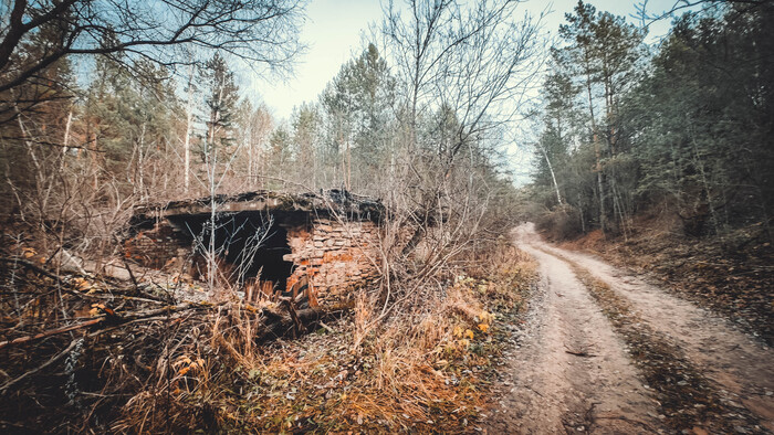 Полуразрушенный домик в лесу.