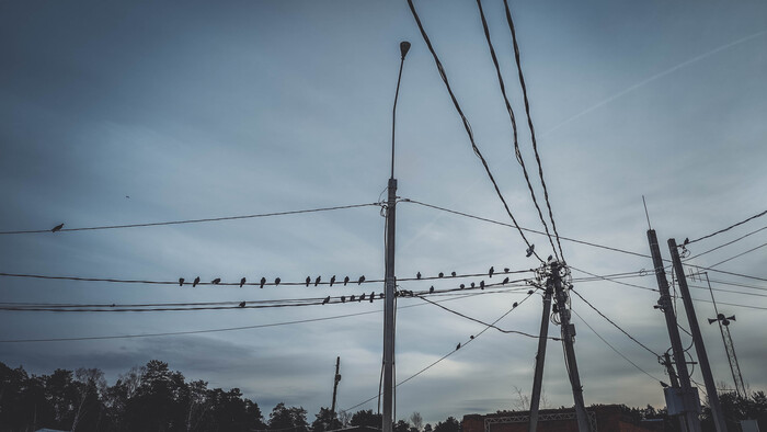 Электрические птицы в тяжелом ноябрьском небе.