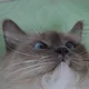 ����� ����� ������ ���� �����������