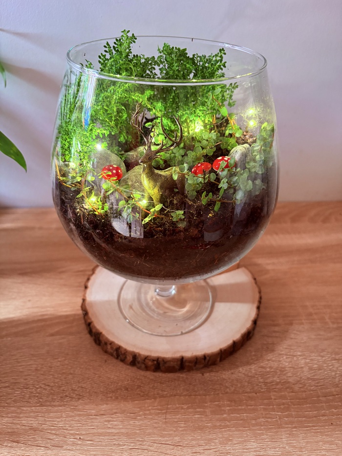 Новогодние флорариумы