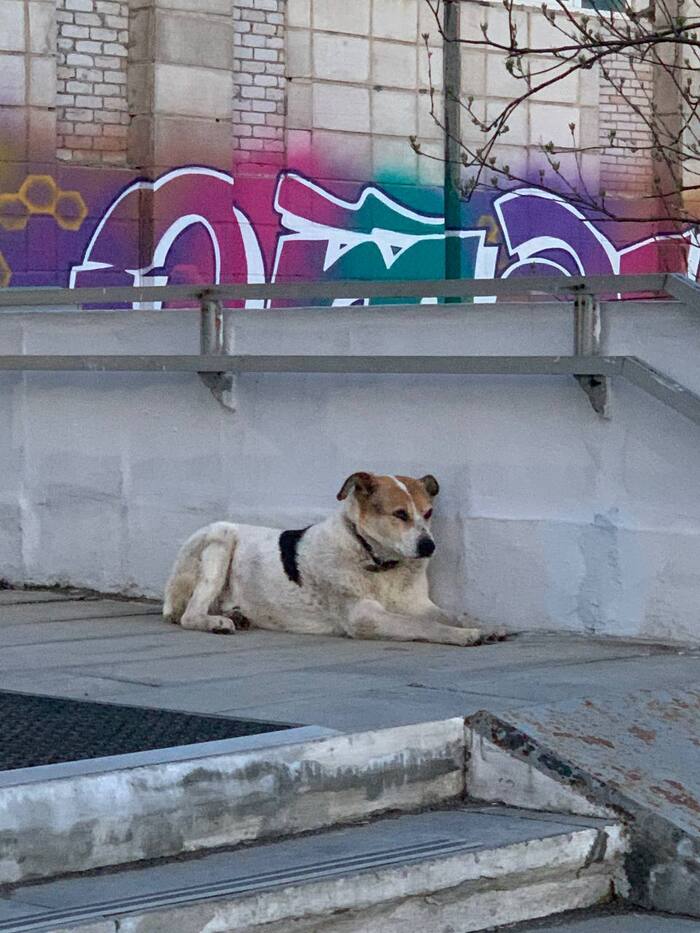 166 дней Есенина #54