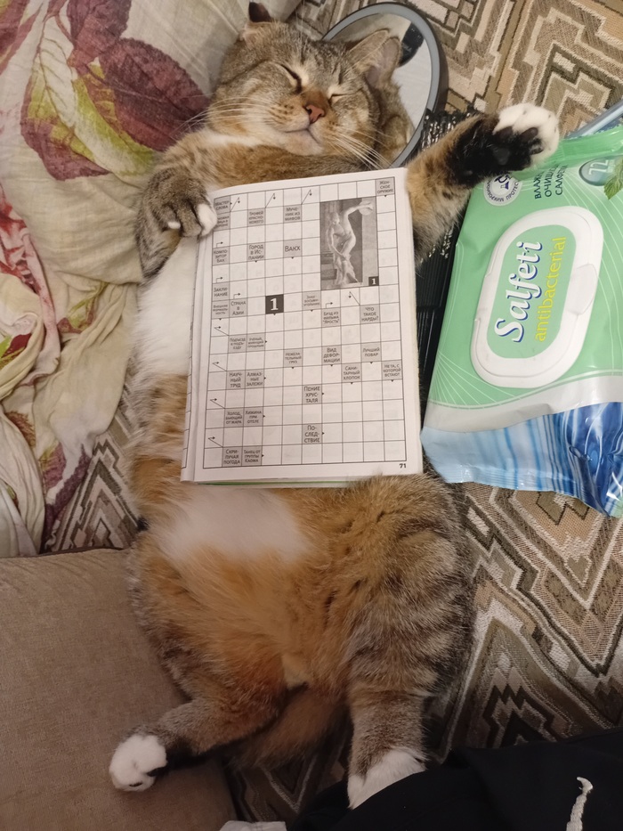 Ответ на пост «Покажи своего питомца!»