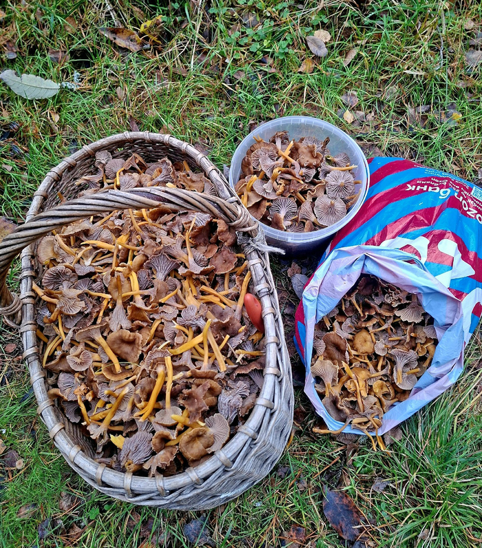 Фото С. Белых.