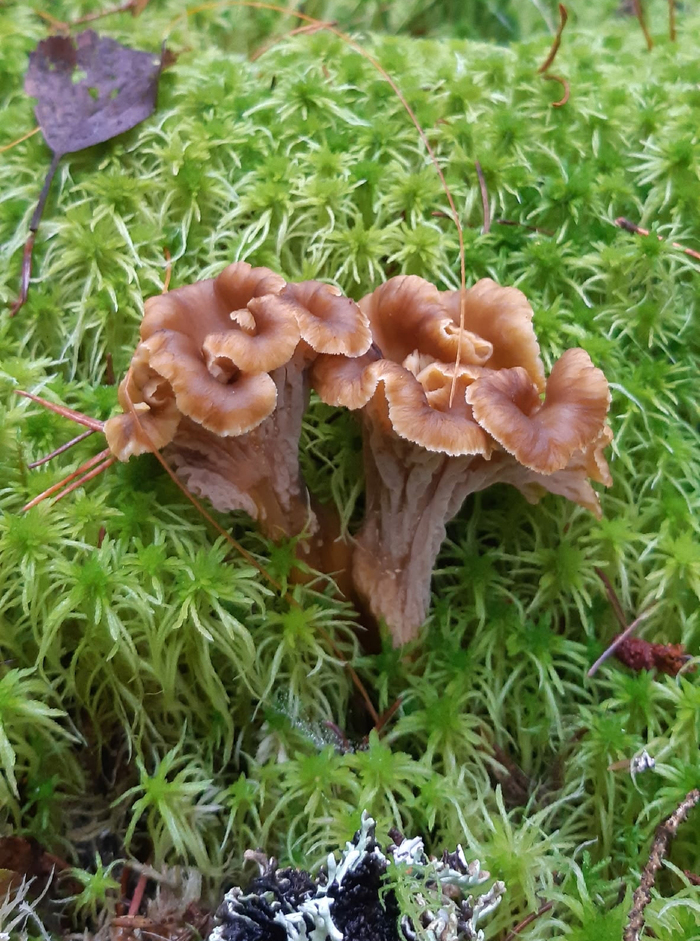 Фото Е. Цветковой.