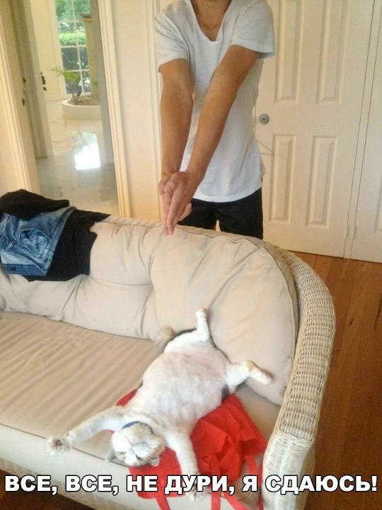 Сдаюсь