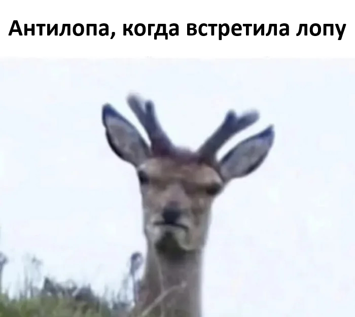 ng7uxtdb.jpg