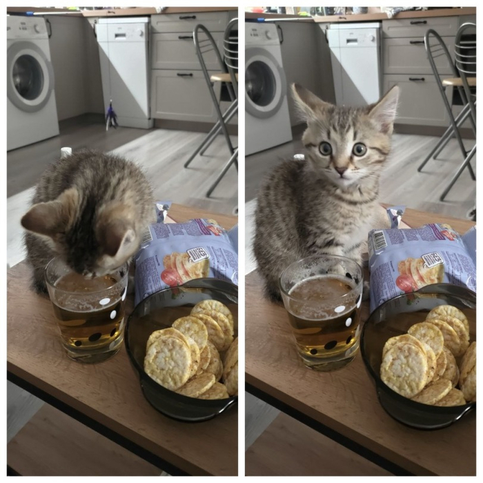 Ого, какой у тебя завтрак