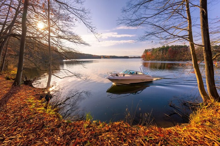 Обзор главных событий недели: IPO ДОМ. РФ, новые дивиденды, отчеты, размещения облигаций и данные по инфляции и другие новости