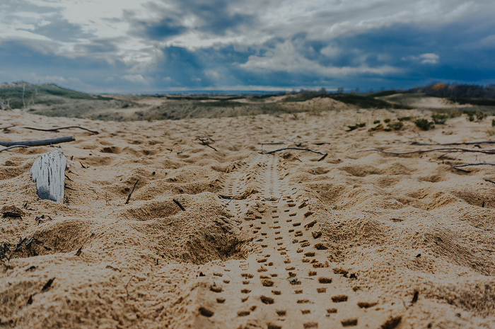 -      ,             .