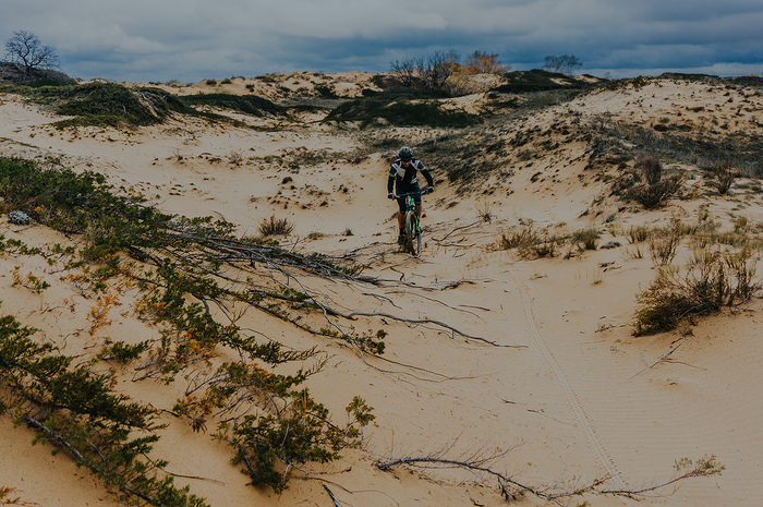 ,       ,      ,      .