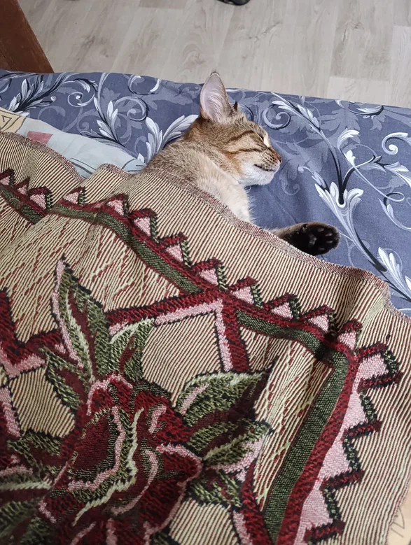 Ответ на пост «А как проходят ваши выходные?»