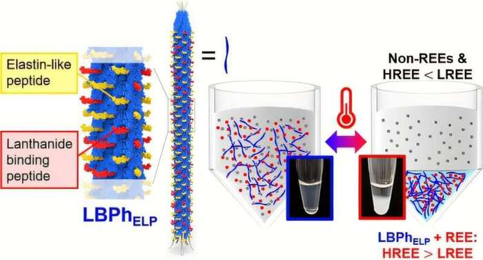      &quot; &quot;       !