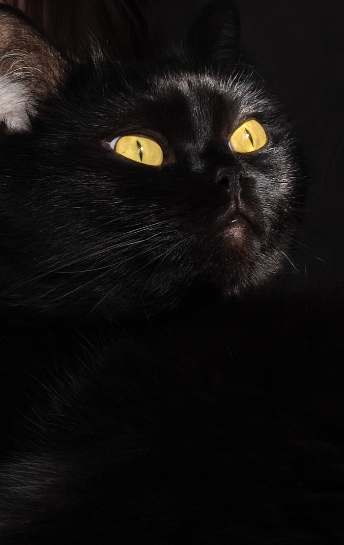 Сегодня солнце за окном