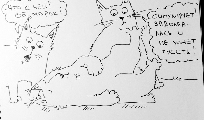 Нет более хитрого и упорного существа...