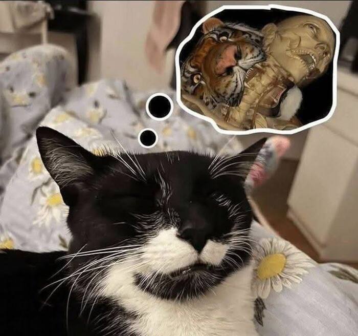 Так оно и есть