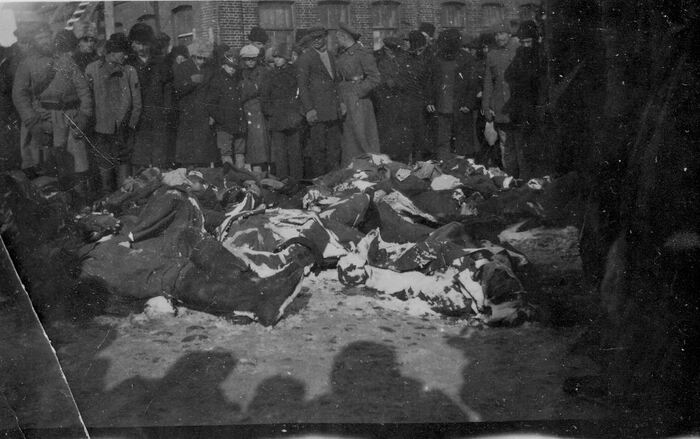 Владивосток был завален телами убитых