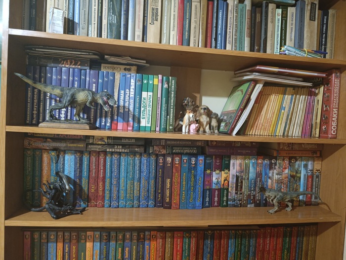   ,    " ".   ,     -   .