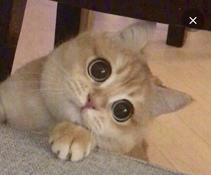 Скажи честно, собеседование было через постель?